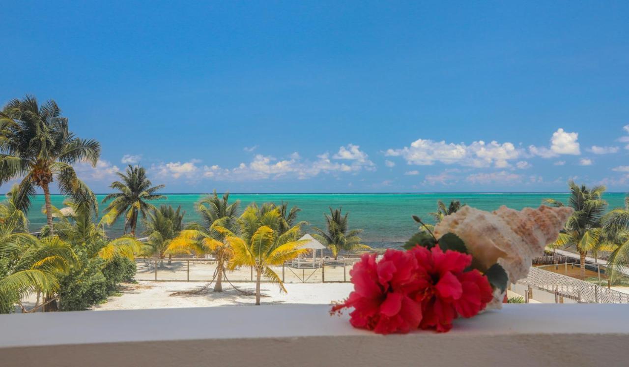 Treetops Hotel Caye Caulker Exterior foto